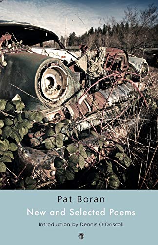 New and Selected Poems (Irish Studies)